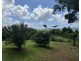 4 Hernon Road, Innisfail QLD 4860
