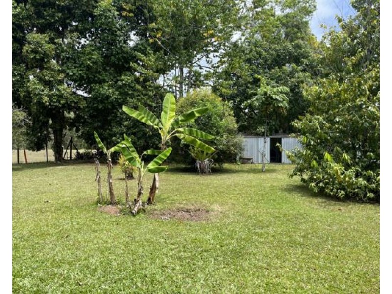 11 Sassafras St, Bramston Beach QLD 4871
