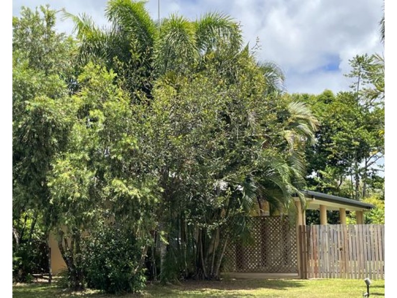 11 Sassafras St, Bramston Beach QLD 4871