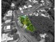 82 Christian Street, Babinda QLD 4861