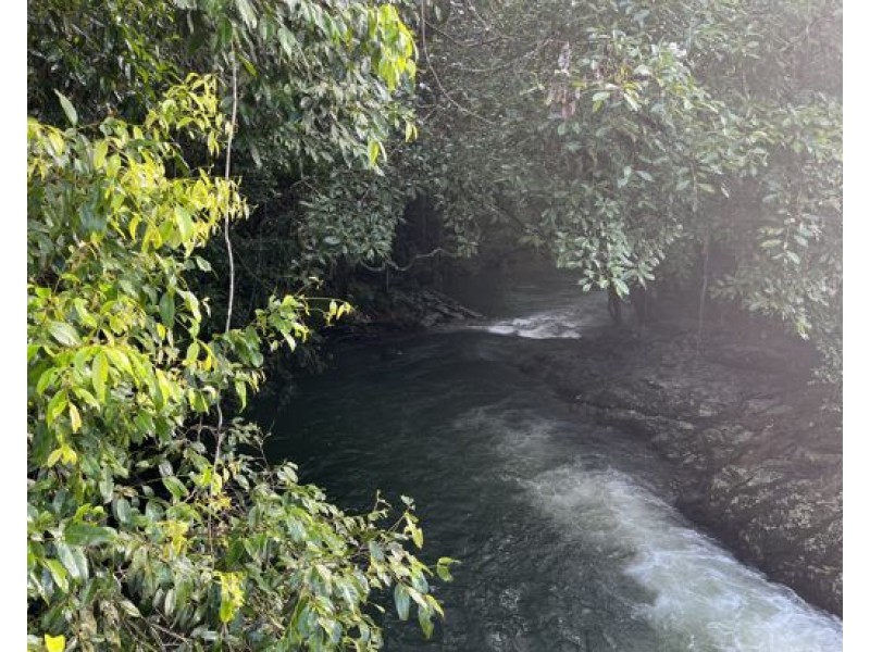 Lot 11 Utchee Creek Road, Mena Creek QLD 4871