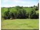 2008 Palmerston Highway, East Palmerston QLD 4860