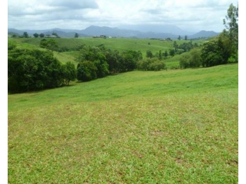 2008 Palmerston Highway, East Palmerston QLD 4860