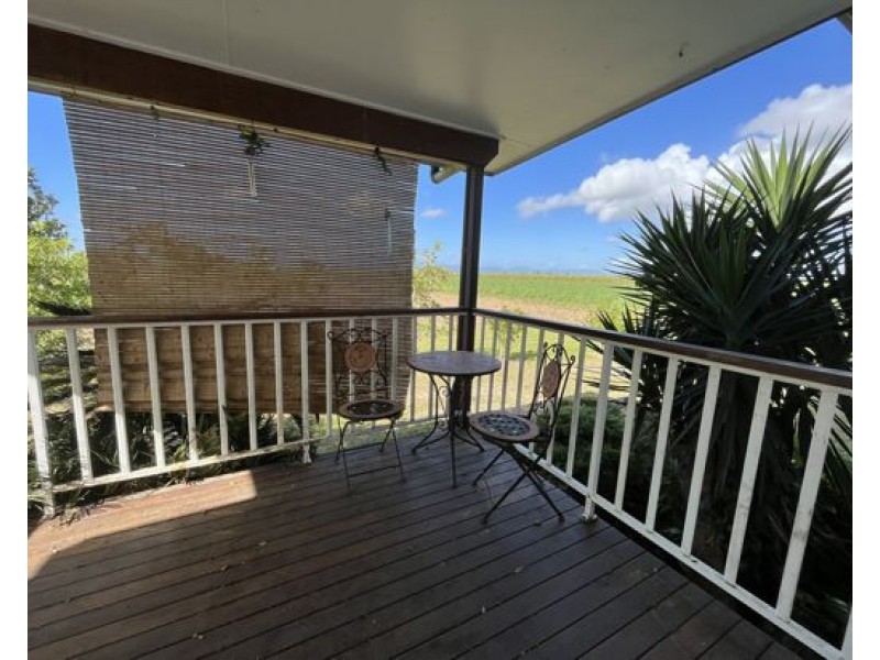 Silky Oak QLD 4854