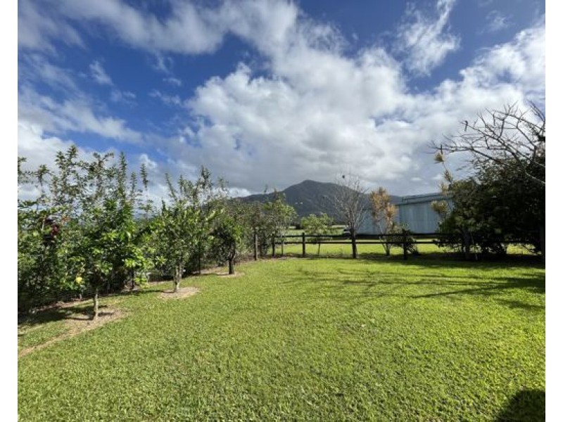 Silky Oak QLD 4854