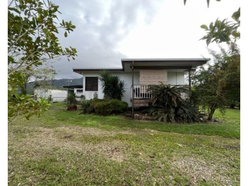 Silky Oak QLD 4854