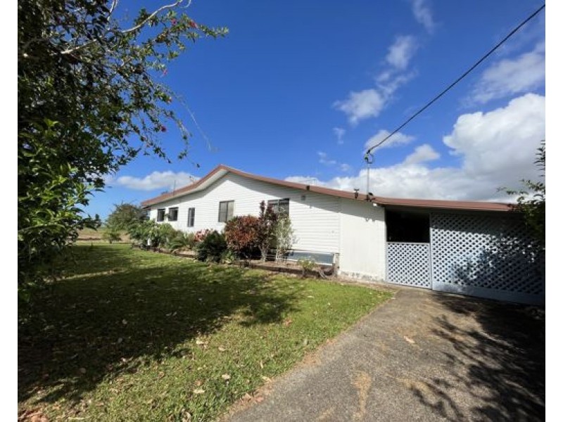 Silky Oak QLD 4854