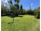 Silky Oak QLD 4854