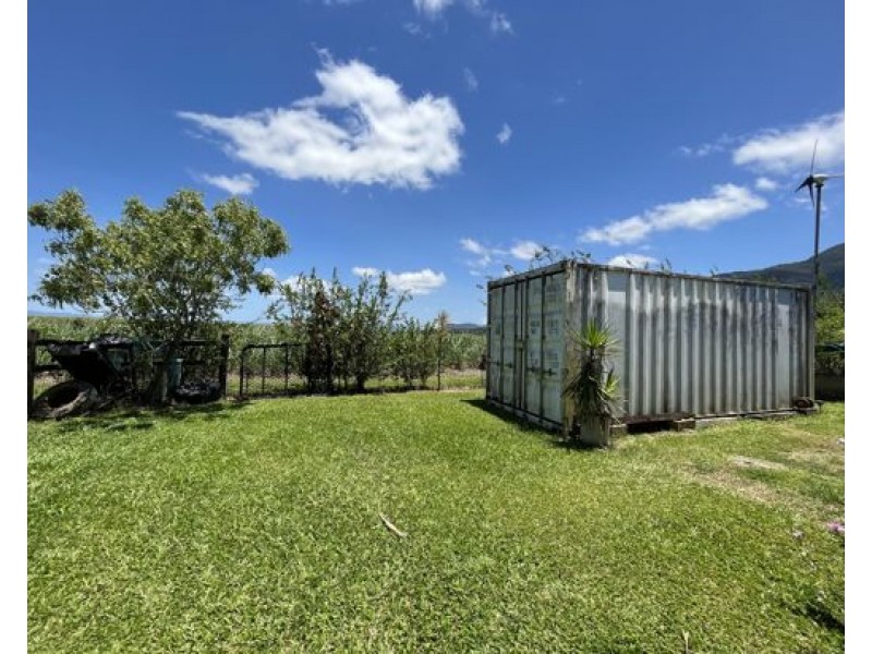 Silky Oak QLD 4854