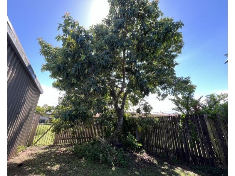 9 Paperbark Street, Bramston Beach QLD 4871