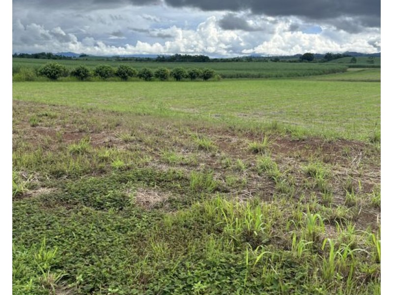 7 Jubilee Road, Daradgee QLD 4860