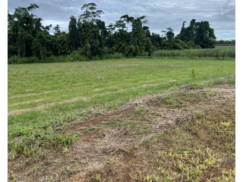 7 Jubilee Road, Daradgee QLD 4860