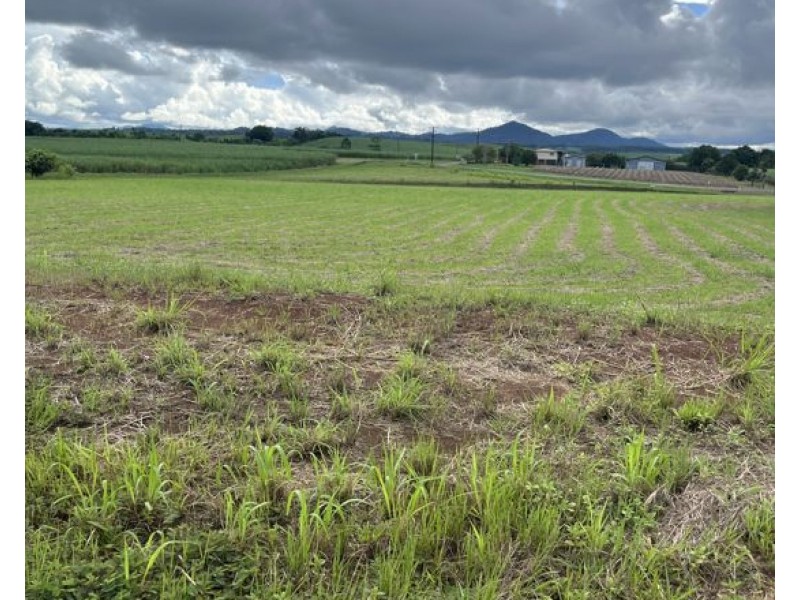 7 Jubilee Road, Daradgee QLD 4860