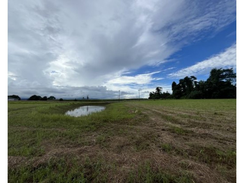 7 Jubilee Road, Daradgee QLD 4860