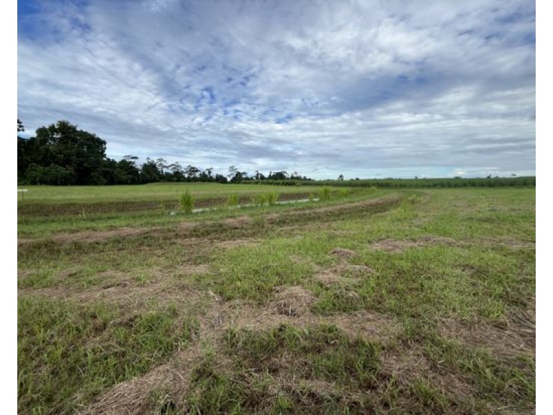 7 Jubilee Road, Daradgee QLD 4860