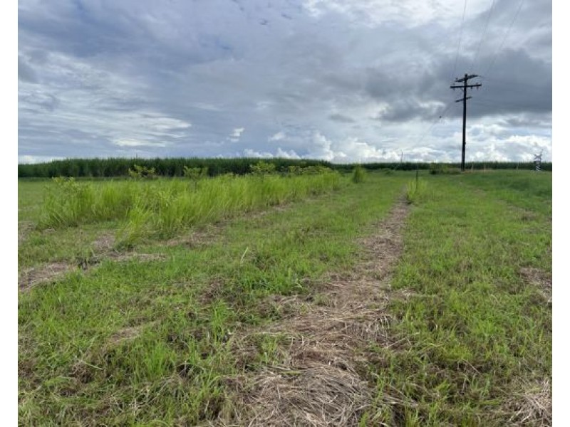 7 Jubilee Road, Daradgee QLD 4860