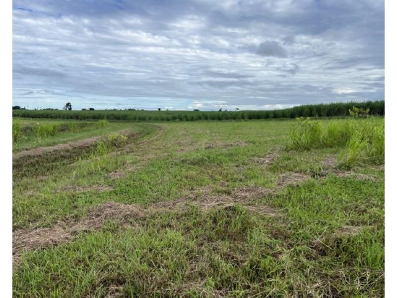 7 Jubilee Road, Daradgee QLD 4860