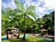 Babinda QLD 4861