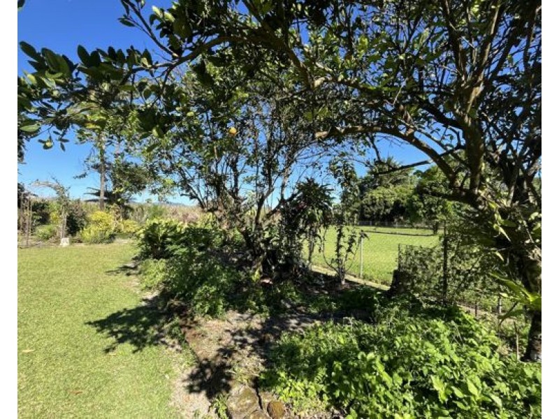 161 Howard Kennedy Drive, Babinda QLD 4861