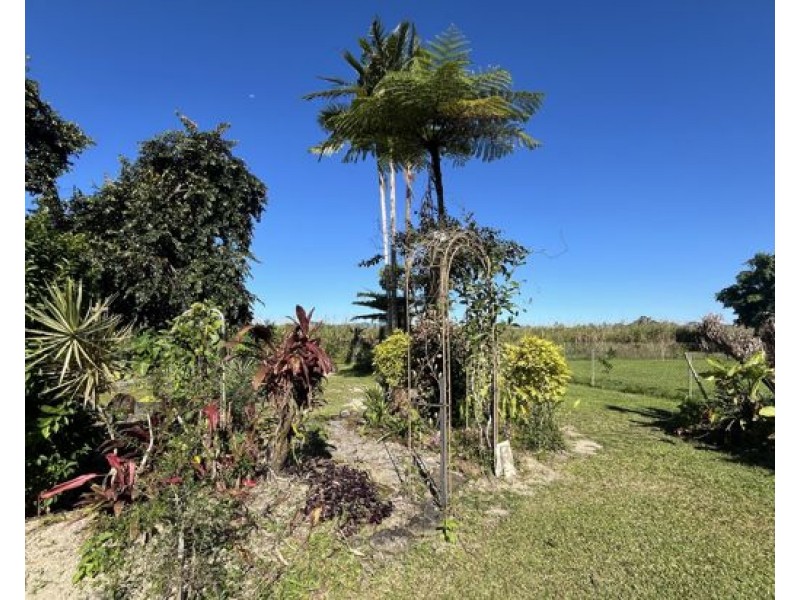 161 Howard Kennedy Drive, Babinda QLD 4861