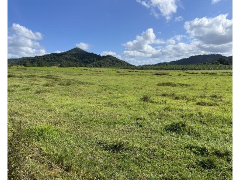 891 Woopen Creek Road, Woopen Creek QLD 4871