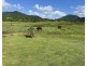 891 Woopen Creek Road, Woopen Creek QLD 4871