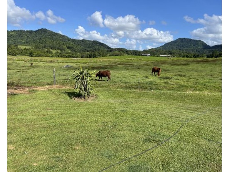 891 Woopen Creek Road, Woopen Creek QLD 4871