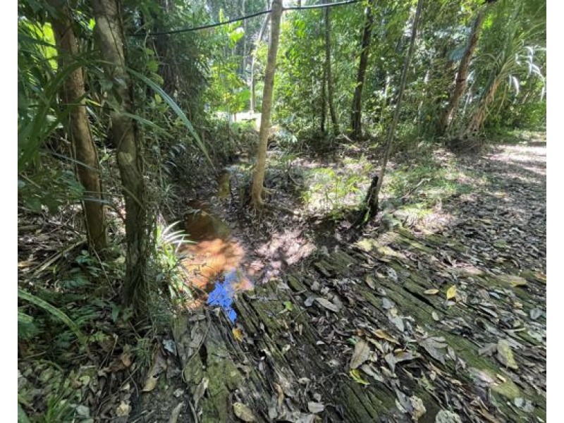 507 Dinner Creek, Eubenangee QLD 4860