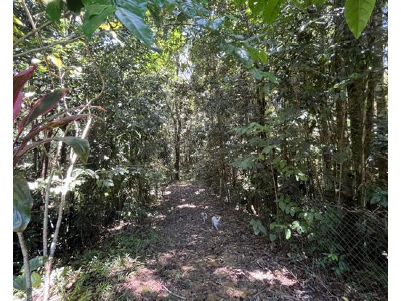 507 Dinner Creek, Eubenangee QLD 4860