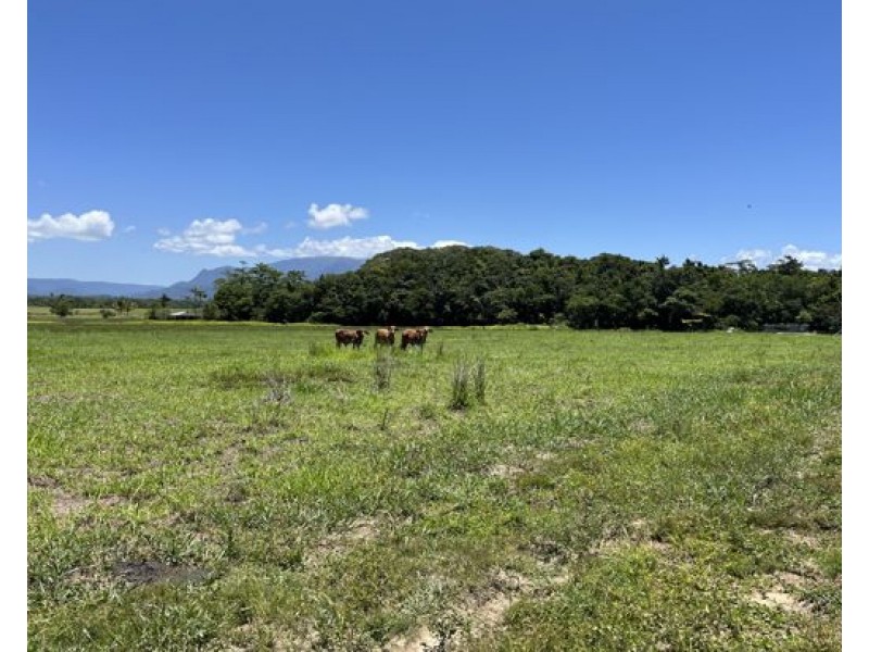 507 Dinner Creek, Eubenangee QLD 4860