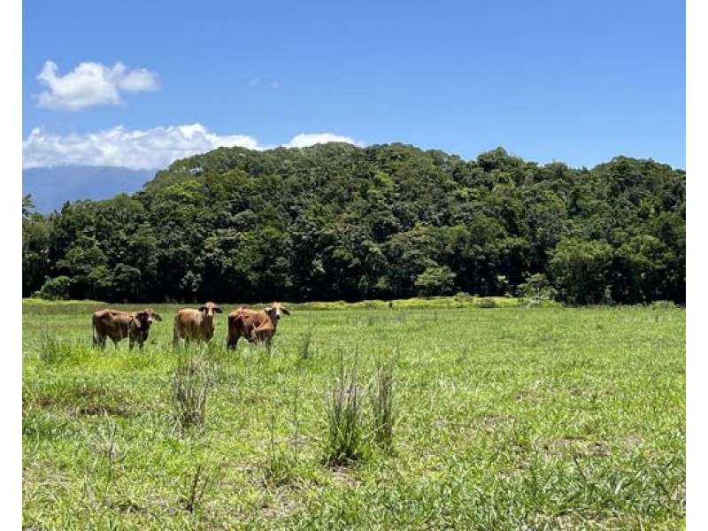 507 Dinner Creek, Eubenangee QLD 4860