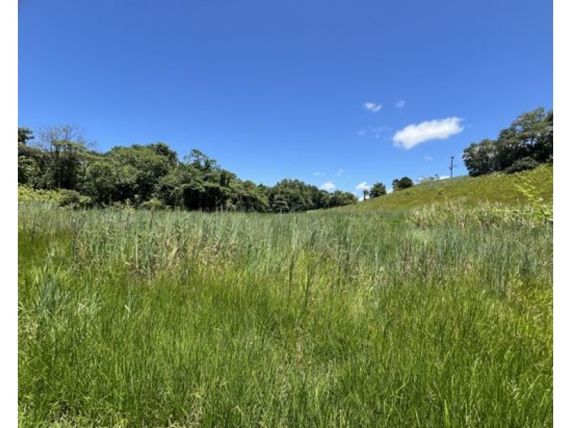 507 Dinner Creek, Eubenangee QLD 4860