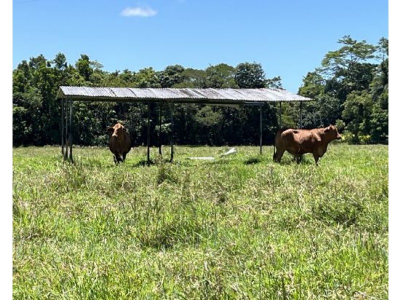 507 Dinner Creek, Eubenangee QLD 4860