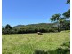 507 Dinner Creek, Eubenangee QLD 4860