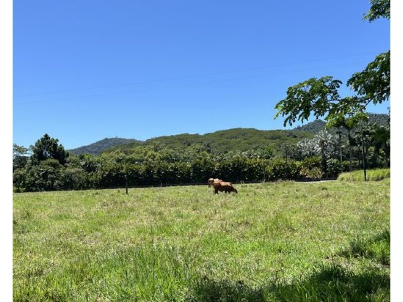 507 Dinner Creek, Eubenangee QLD 4860