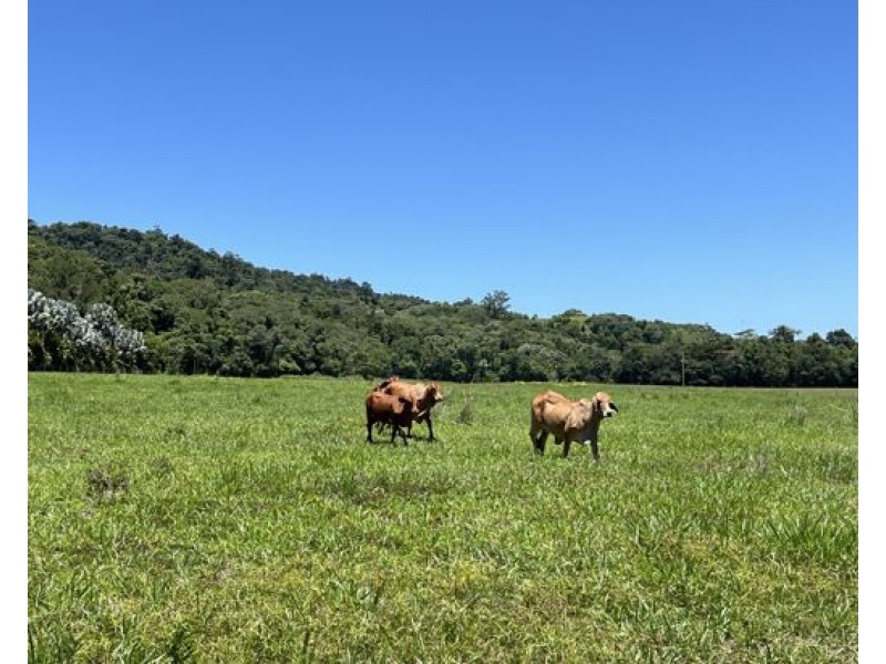 507 Dinner Creek, Eubenangee QLD 4860