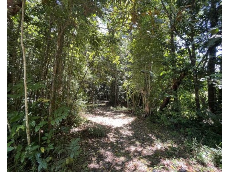 507 Dinner Creek, Eubenangee QLD 4860