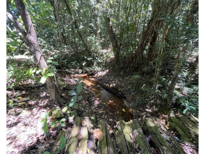 507 Dinner Creek, Eubenangee QLD 4860