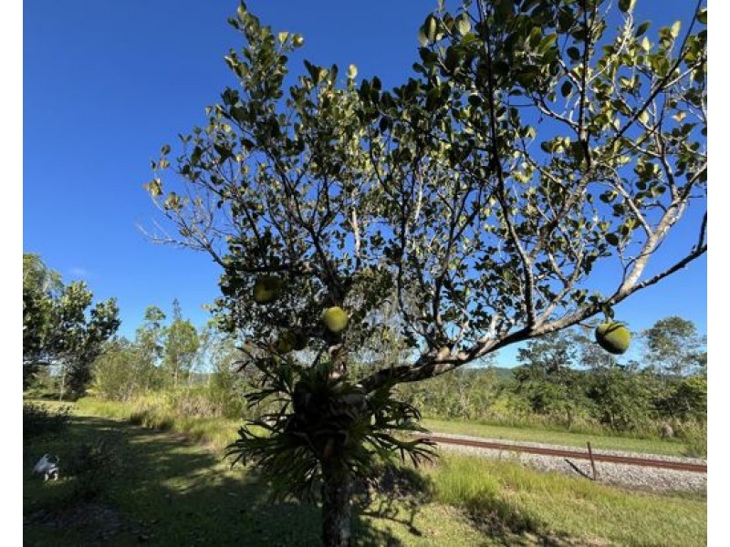 5 Dobbin Road, Warrubullen QLD 4871