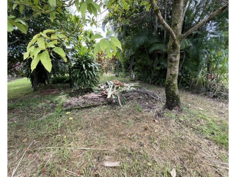 15 CLYDE ROAD, Babinda QLD 4861