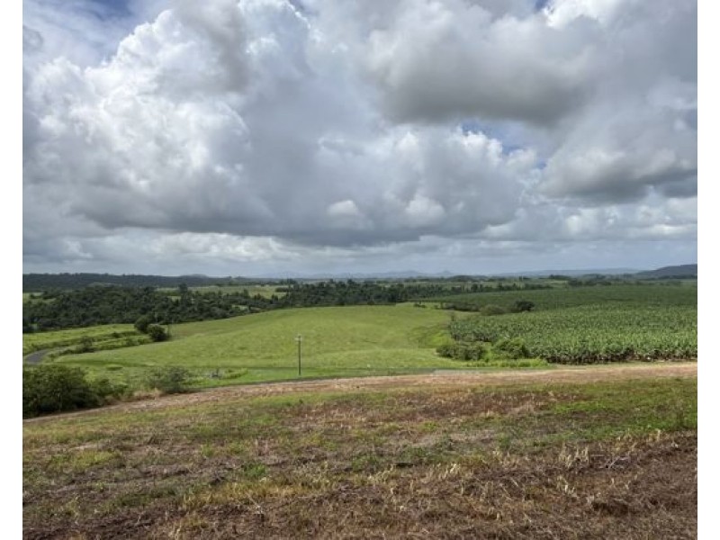 125 Utchee Creek Road, Mena Creek QLD 4871