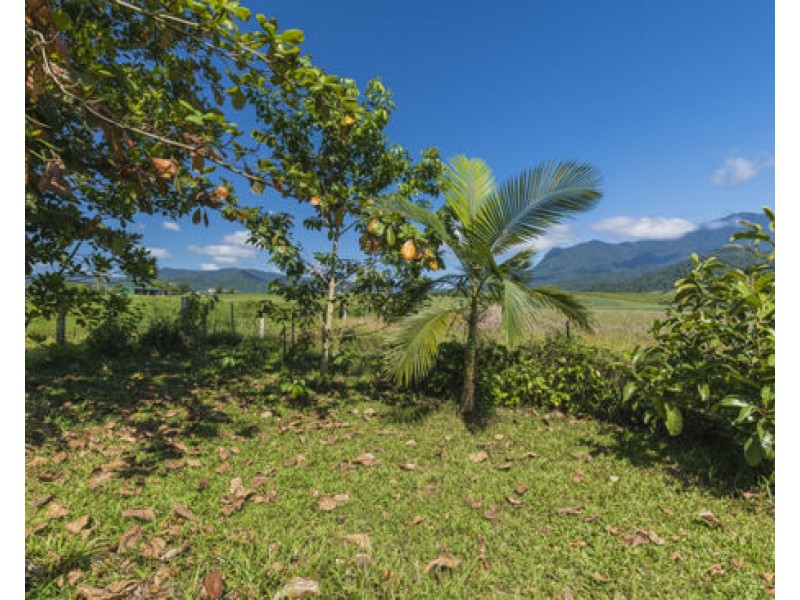 338 Bartle Frere Road, Bartle Frere QLD 4861