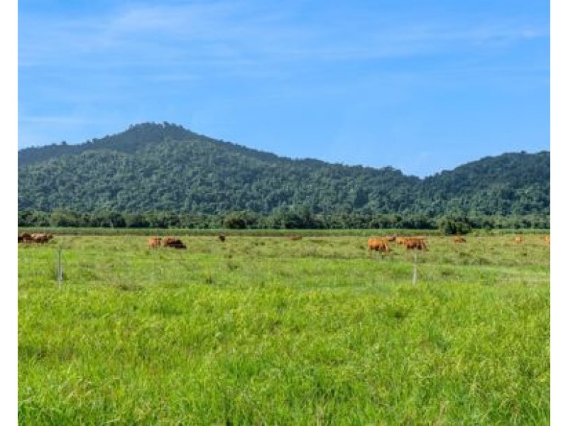 21 Barbagallo Road, Aloomba QLD 4871