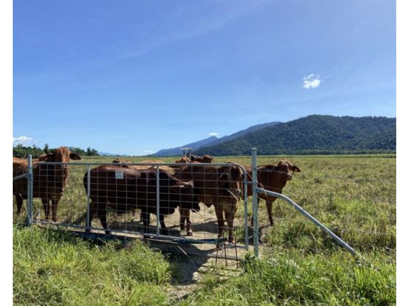 21 Barbagallo Road, Aloomba QLD 4871