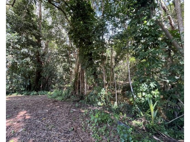 27 Evans Road, Bramston Beach QLD 4871