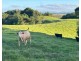 Lot 2 Dinner Creek Road, Eubenangee QLD 4860