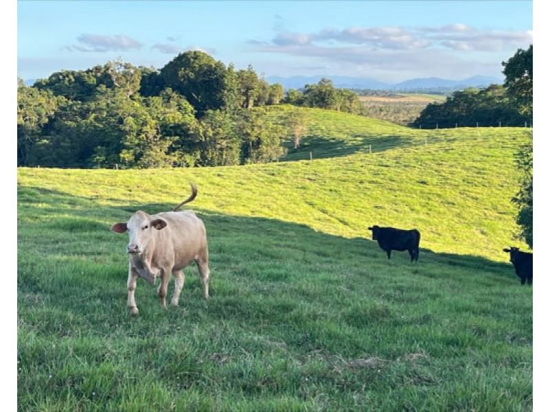 Lot 2 Dinner Creek Road, Eubenangee QLD 4860