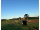 Lot 2 Dinner Creek Road, Eubenangee QLD 4860