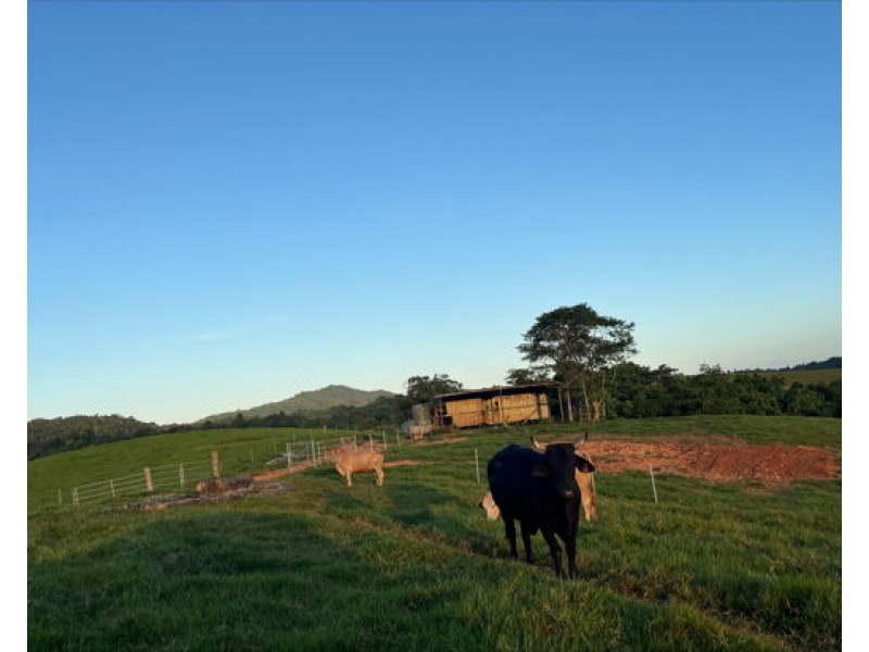 Lot 2 Dinner Creek Road, Eubenangee QLD 4860