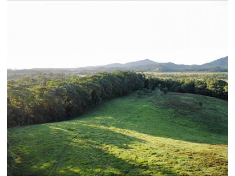 Lot 2 Dinner Creek Road, Eubenangee QLD 4860